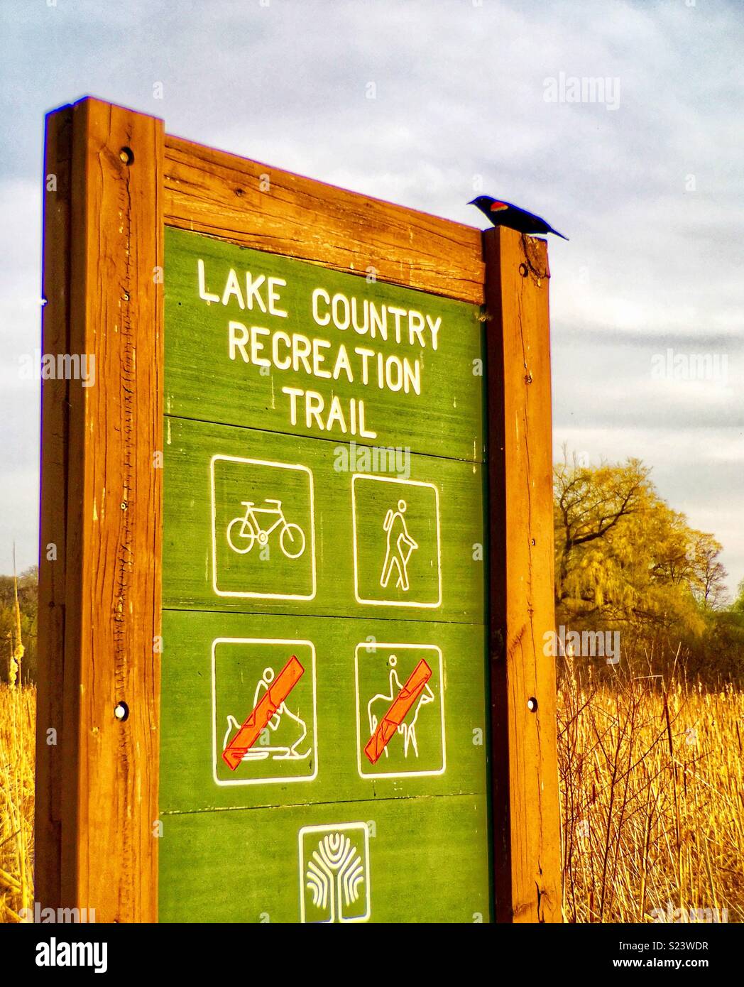 Red-winged blackbird on Lake Country Recreation Trail sign - Smartphone Captured Stock Image