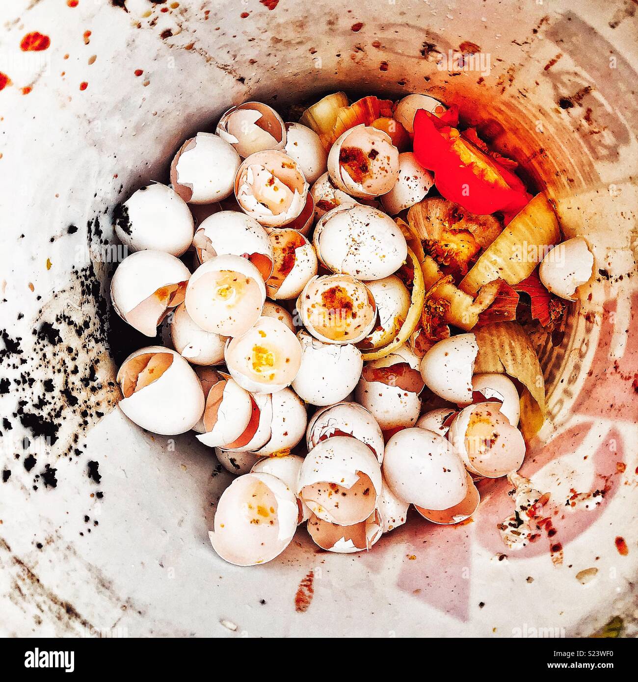 Egg shells on the bottom of a trash can Stock Photo Alamy