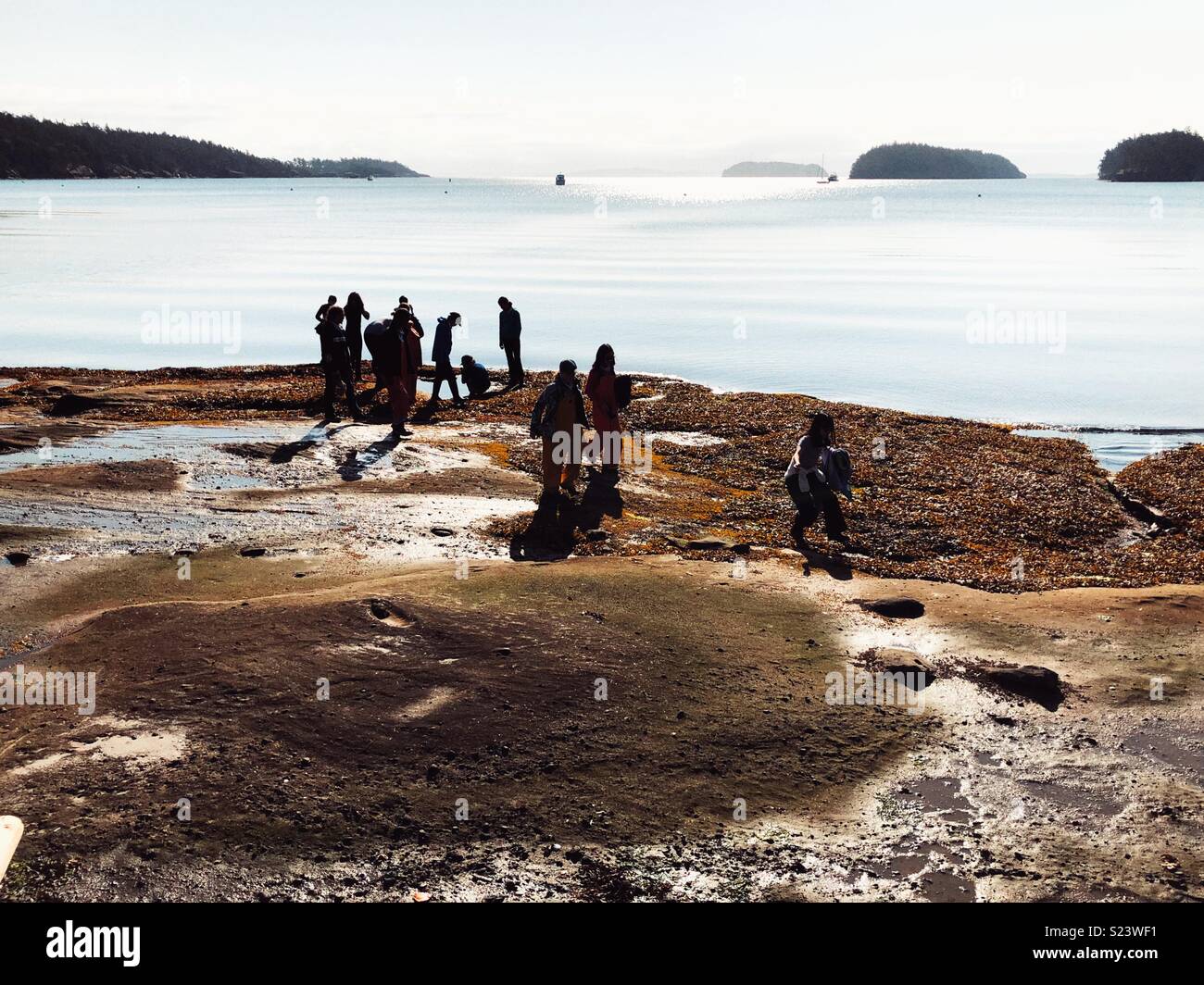 Morning at low tide on Sucia island in San Juans archipelago - Smartphone Captured Stock Image
