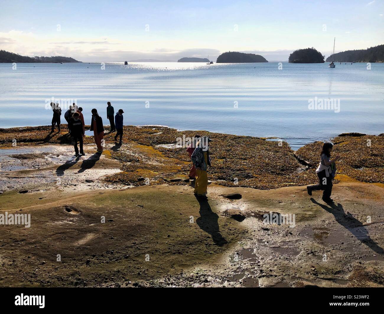 Morning at low tide on Sucia island in San Juans archipelago - Smartphone Captured Stock Image