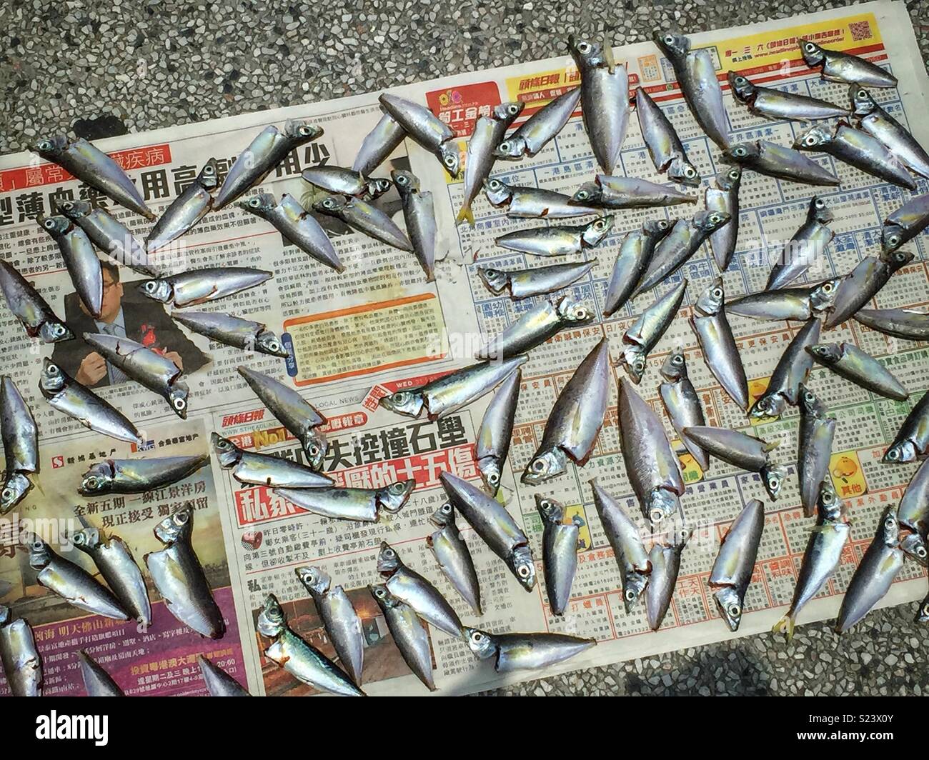 Small fish, newly caught and cleaned, laid out on newspaper to dry at Central Public Pier 9, Hong Kong Island - Smartphone Captured Stock Image
