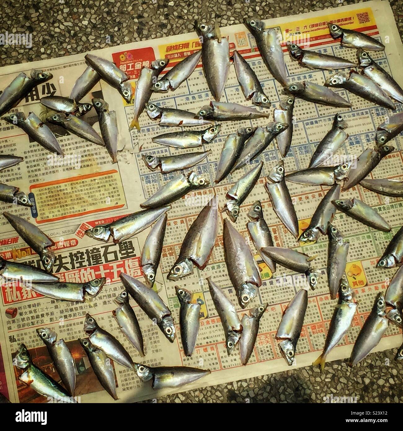 Small fish, newly caught and cleaned, laid out on newspaper to dry at Central Public Pier 9, Hong Kong Island - Smartphone Captured Stock Image