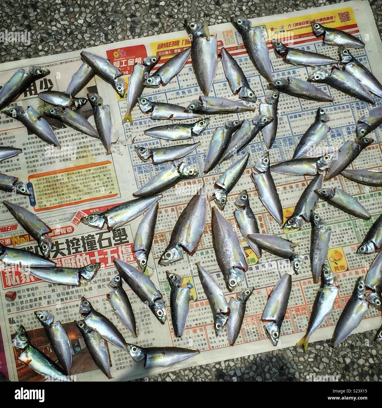 Small fish, newly caught and cleaned, laid out on newspaper to dry at Central Public Pier 9, Hong Kong Island - Smartphone Captured Stock Image