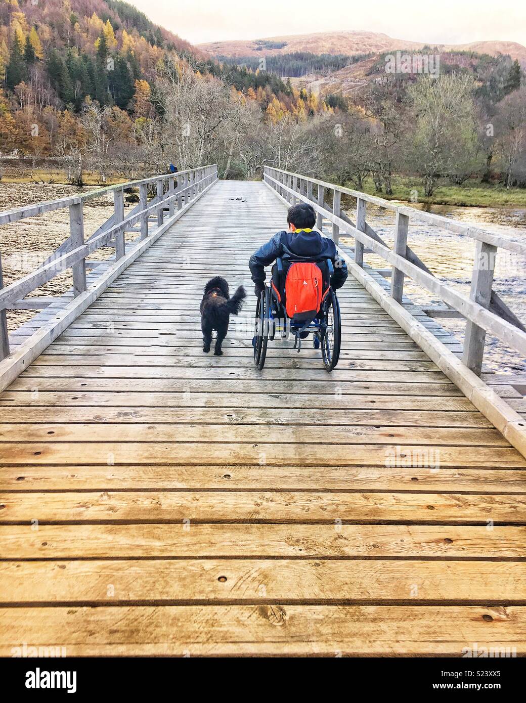Wheelchair dog walk Stock Photo Alamy