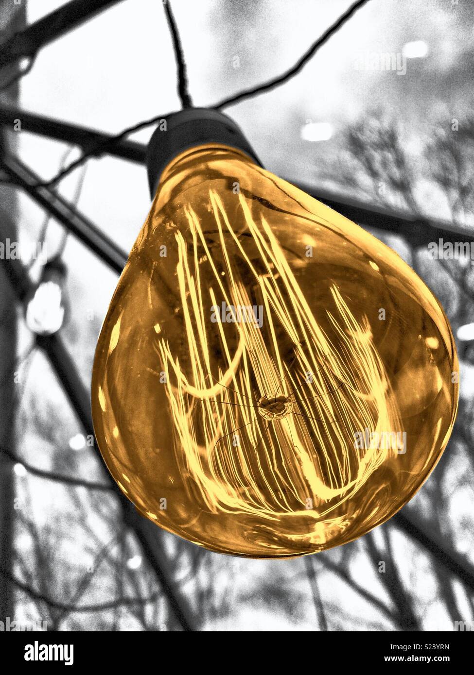 Electric light bulb Stock Photo Alamy