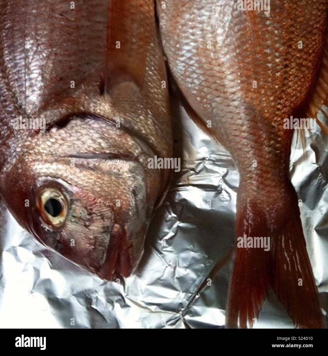 Red mullet ready to cook Stock Photo Alamy