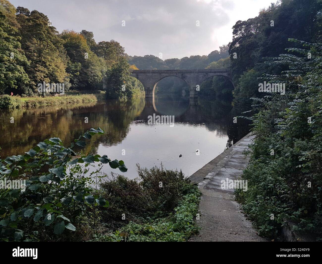 Walk along the river - Smartphone Captured Stock Image