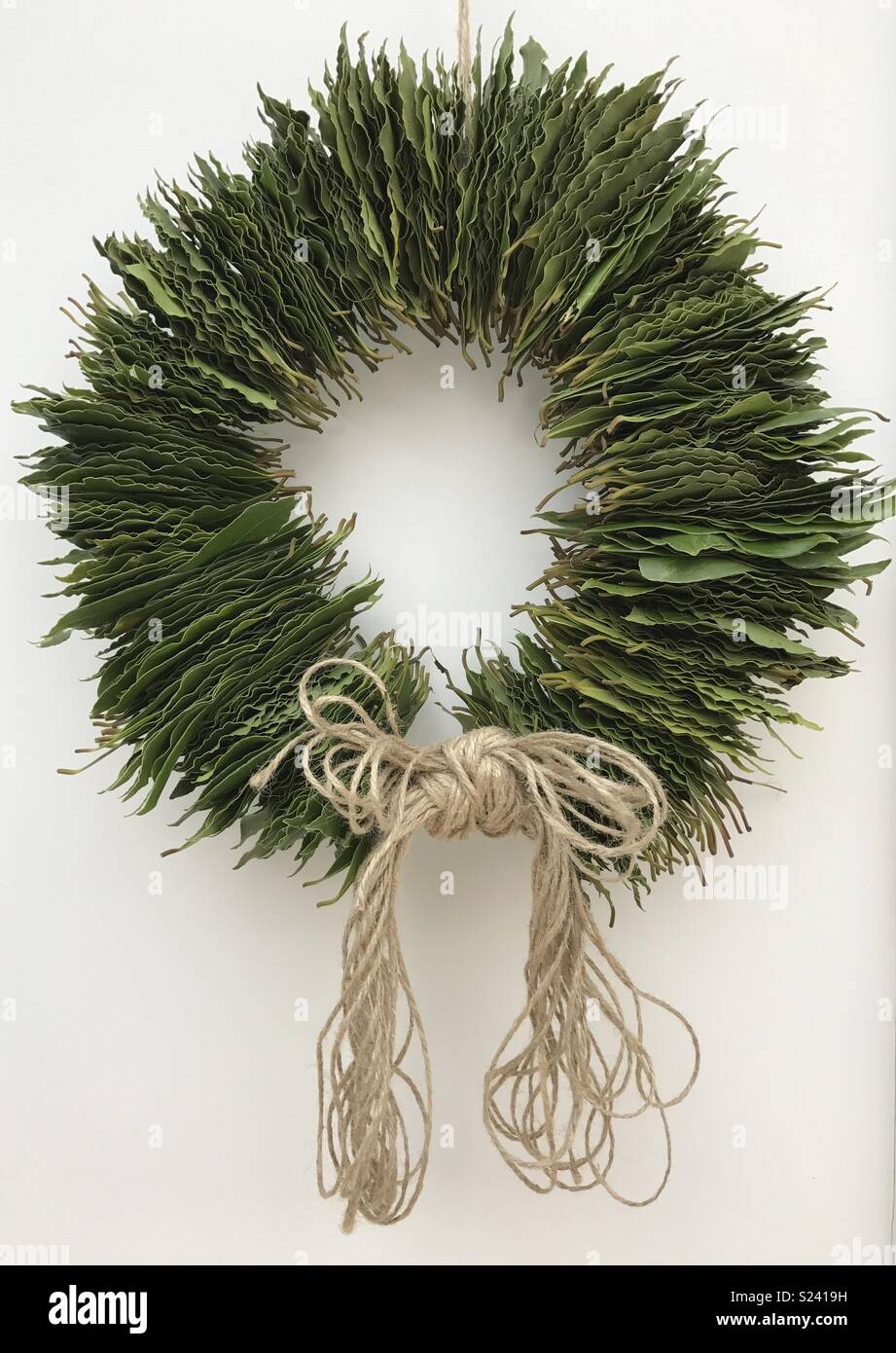 Bay Leaf Garland Stock Photo Alamy