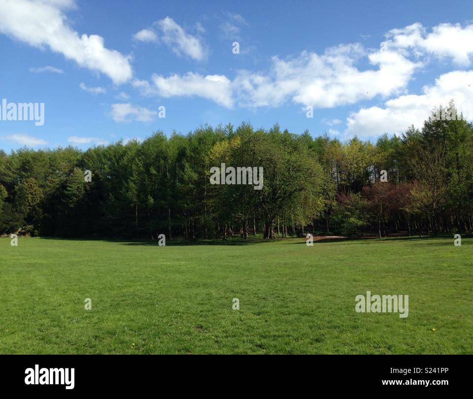 Eglinton Country Park, Scotland Stock Photo Alamy