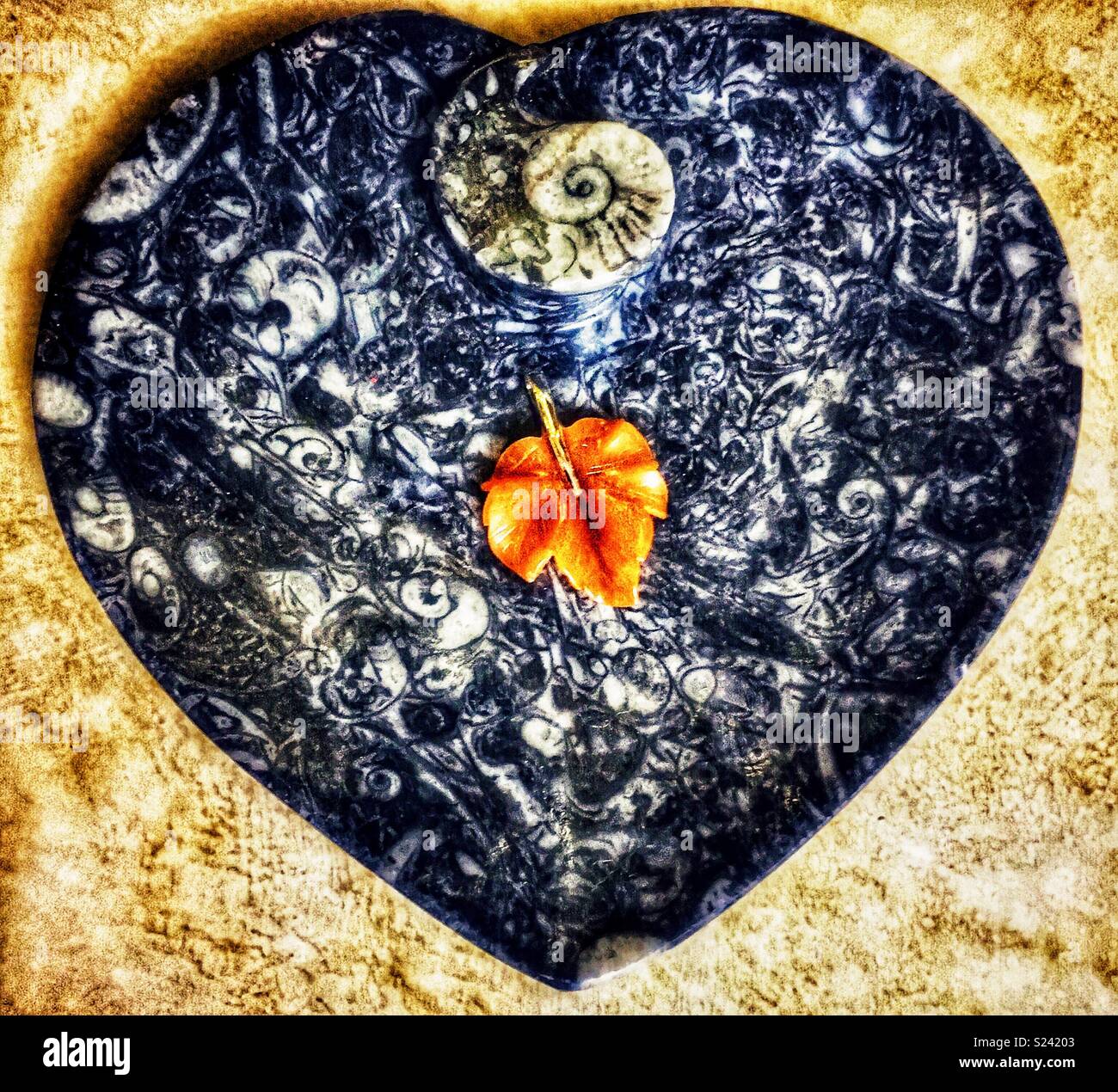 Fossilized heart plate with brown leaf pendant - Smartphone Captured Stock Image