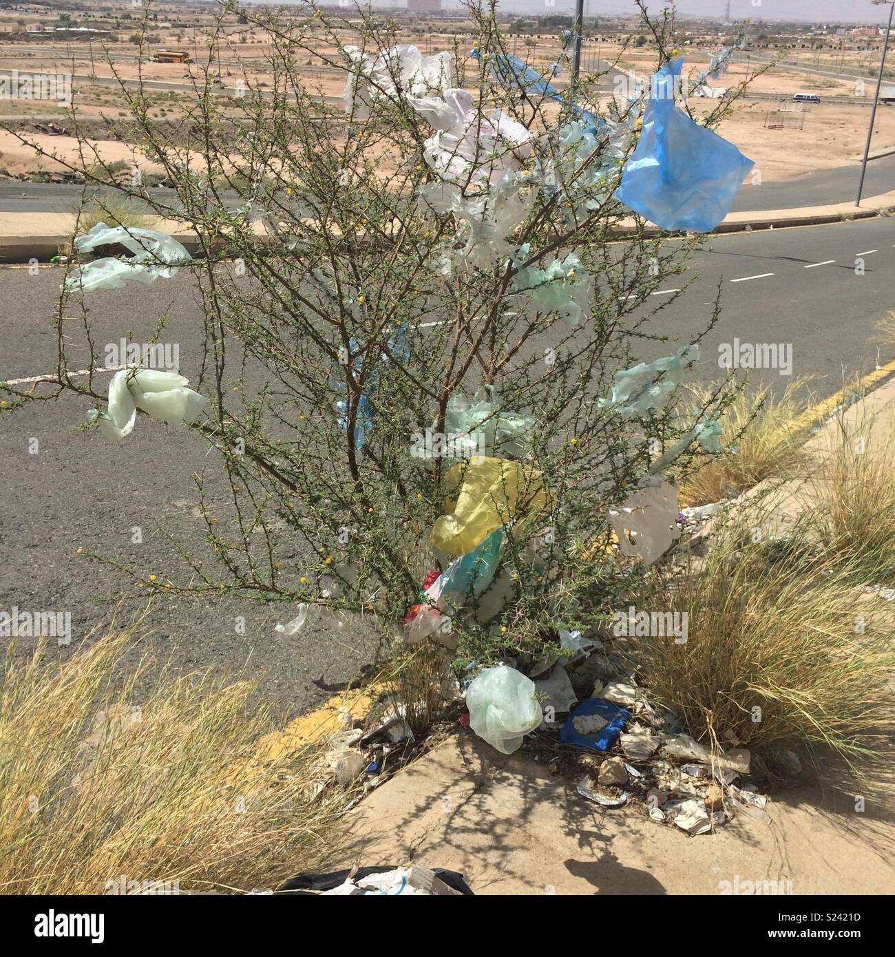 Single use plastic bags Stock Photo Alamy