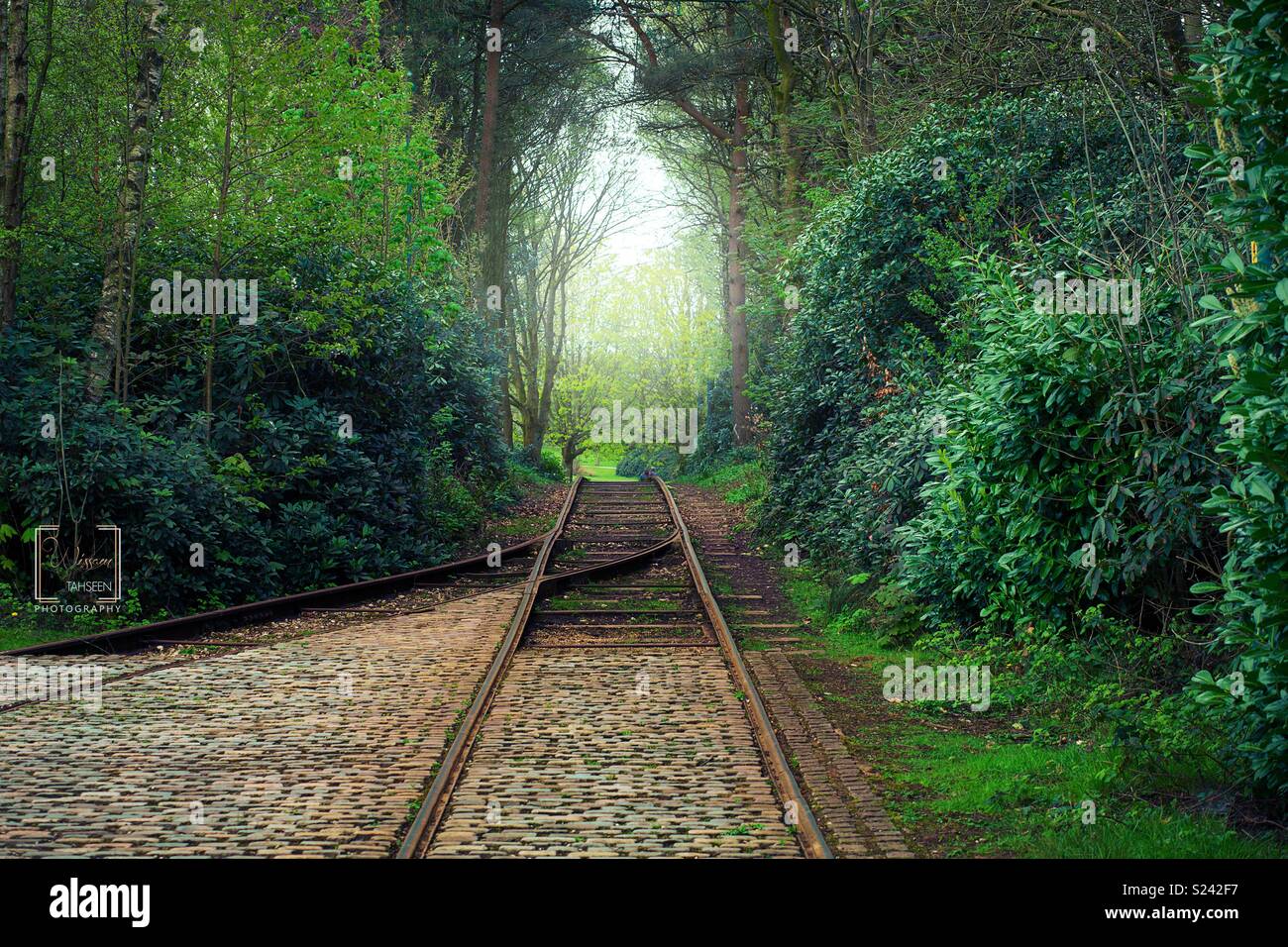 A train route passes through the wonderful nature of England during the spring Stock Photo