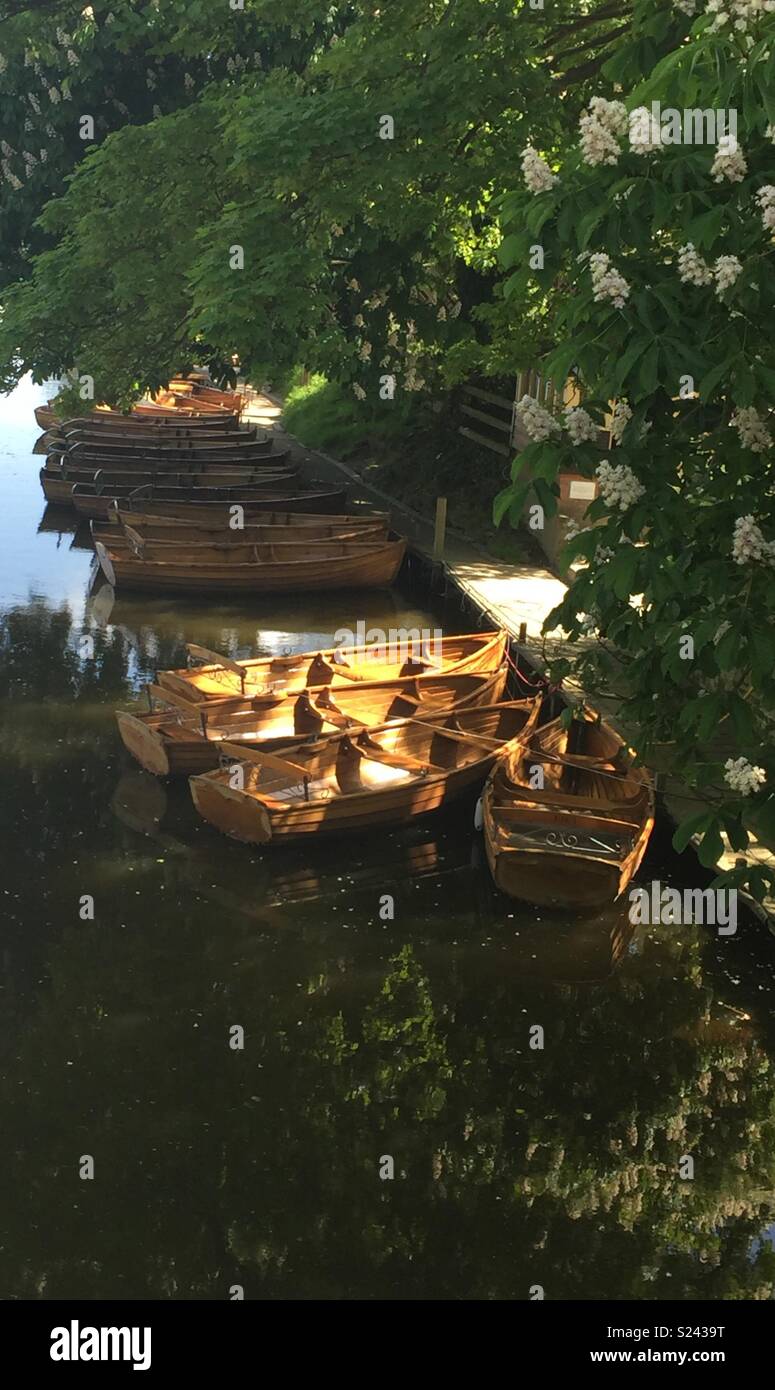 Rowing Boats on the river Stour at Dedham in Constable Country Stock