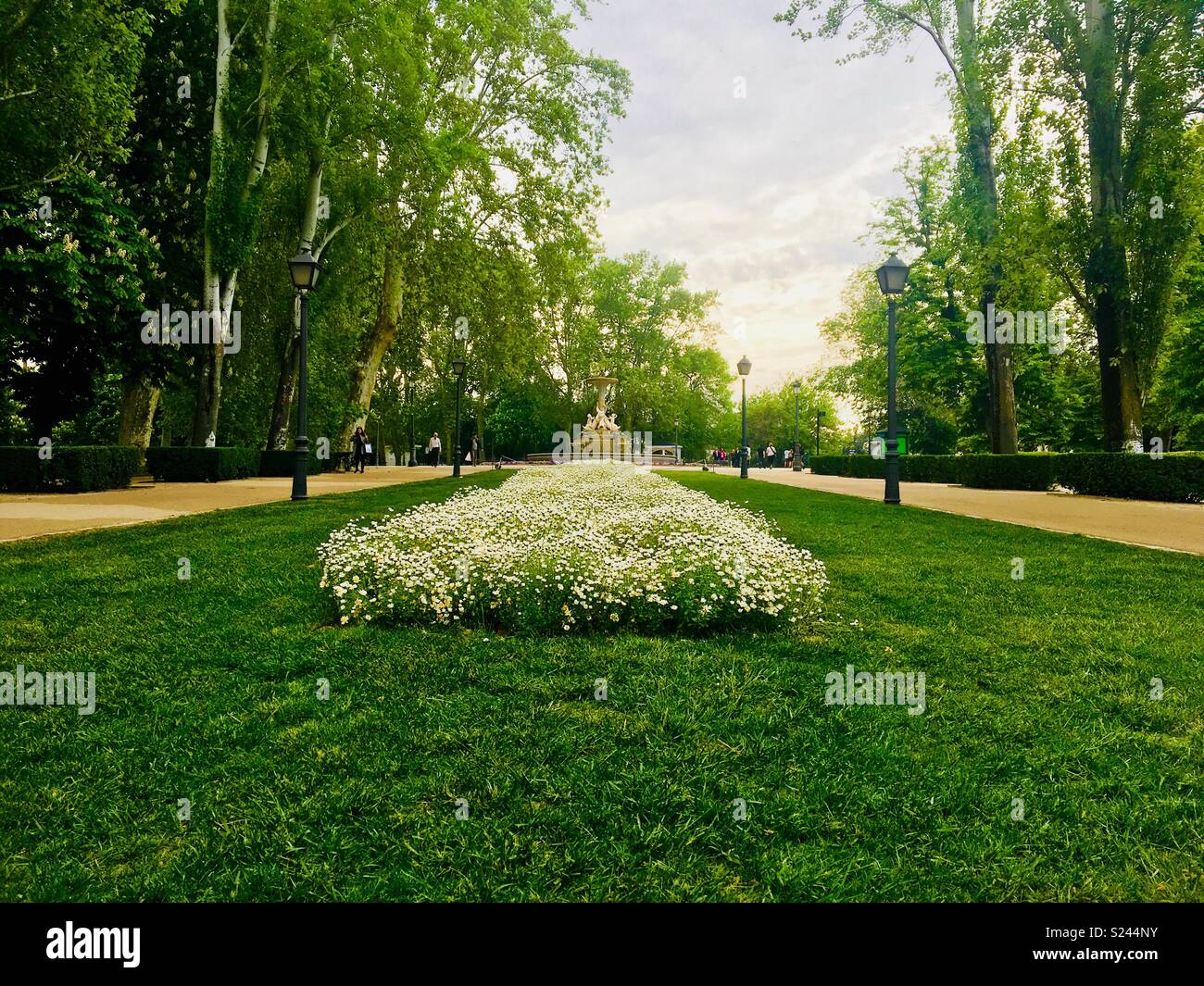 Famous park in Madrid, Spain - Smartphone Captured Stock Image
