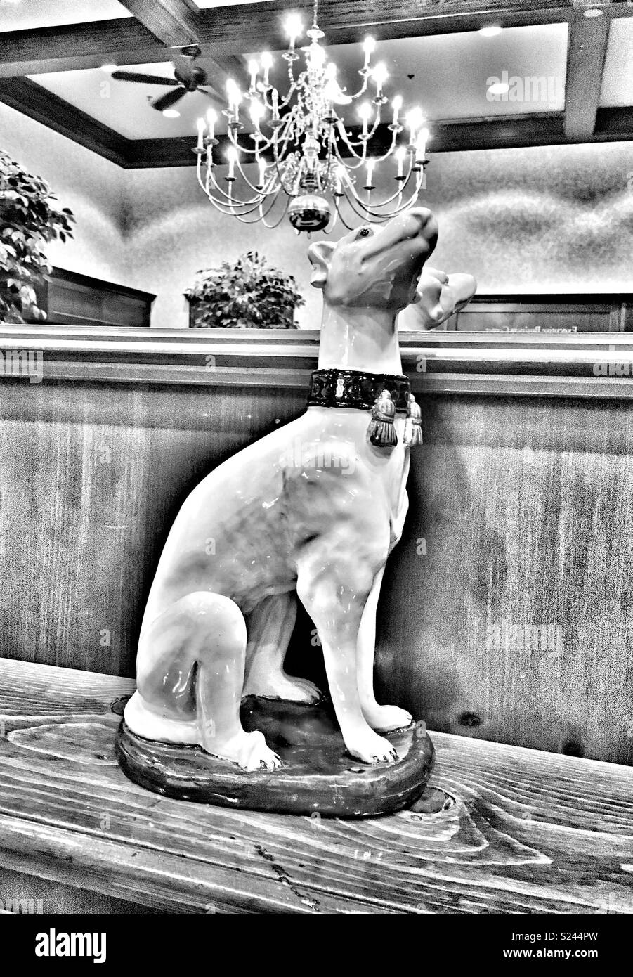 Ceramic dog in front of mirror with chandelier - Smartphone Captured Stock Image