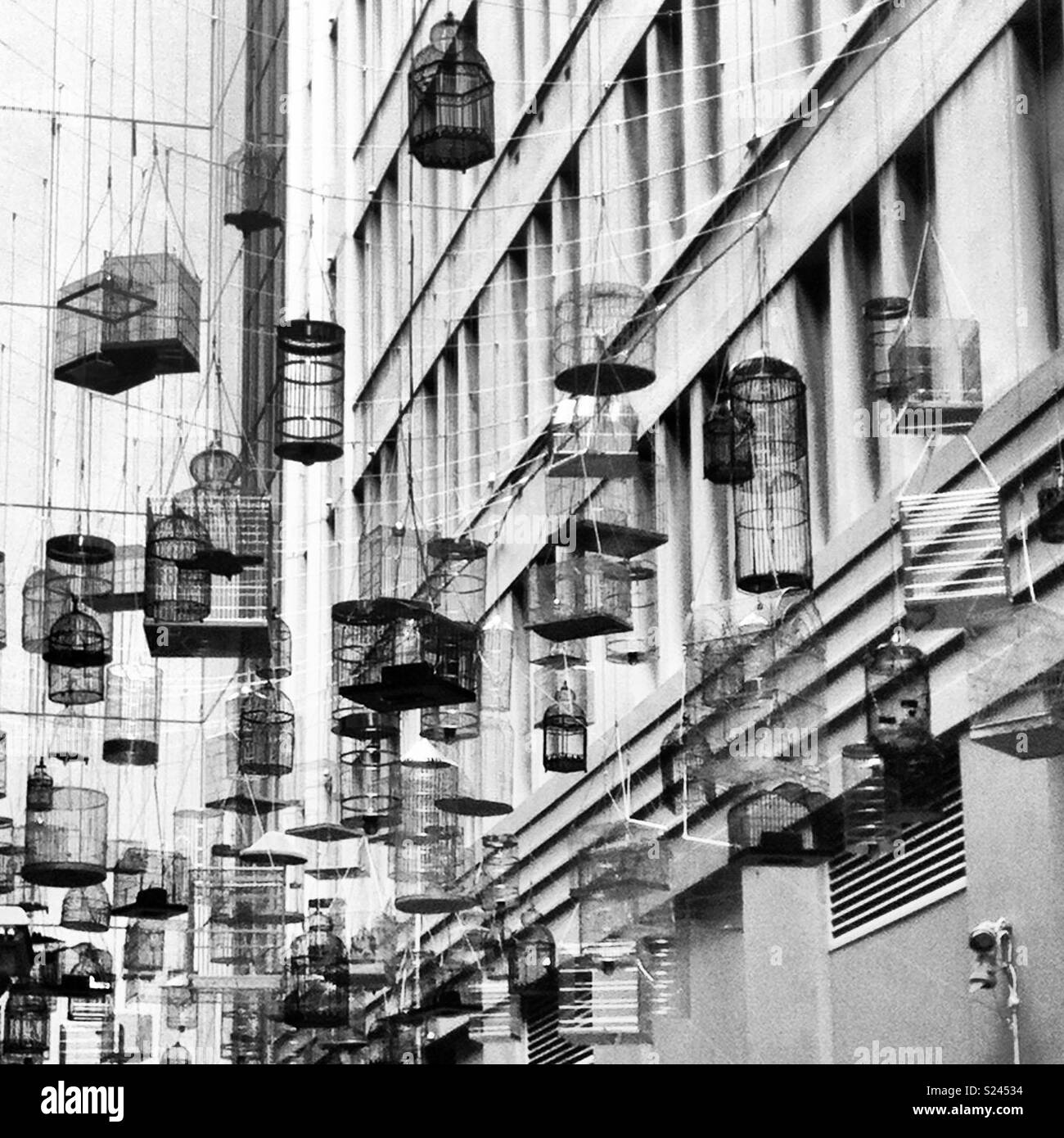 Sydney Australia bird cages Stock Photo Alamy