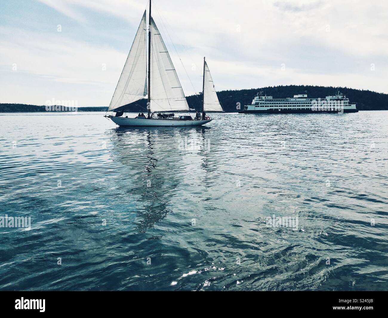 Classic Pacific Northwest scene sailboat and a ferry on water in San