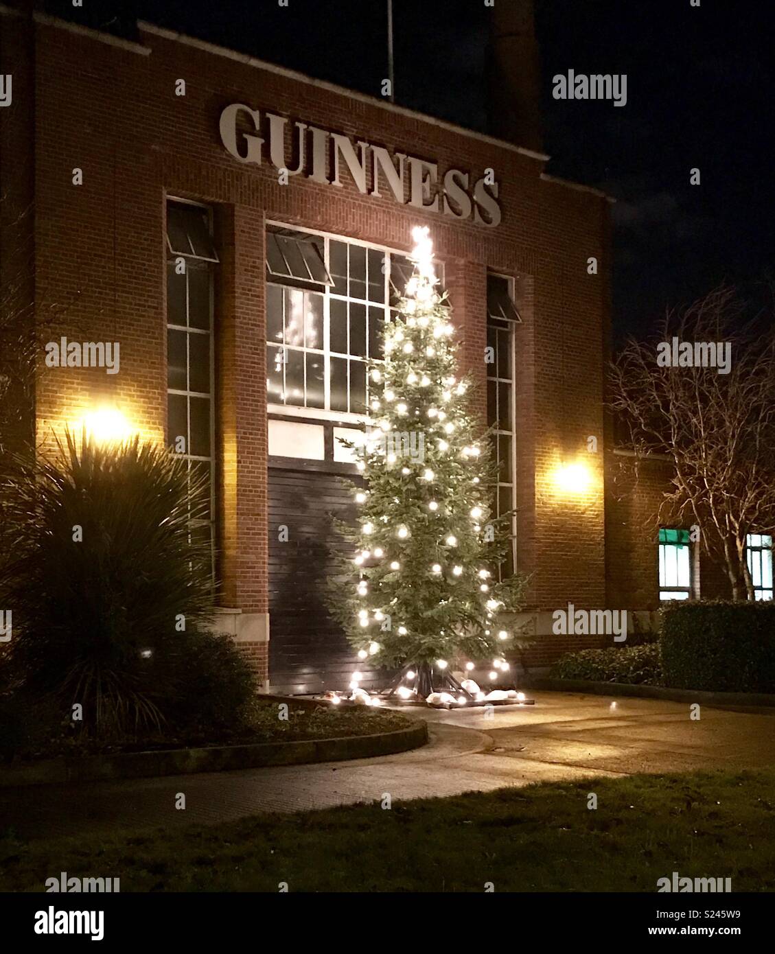 Guinness Brewery Dublin at Christmas Stock Photo Alamy