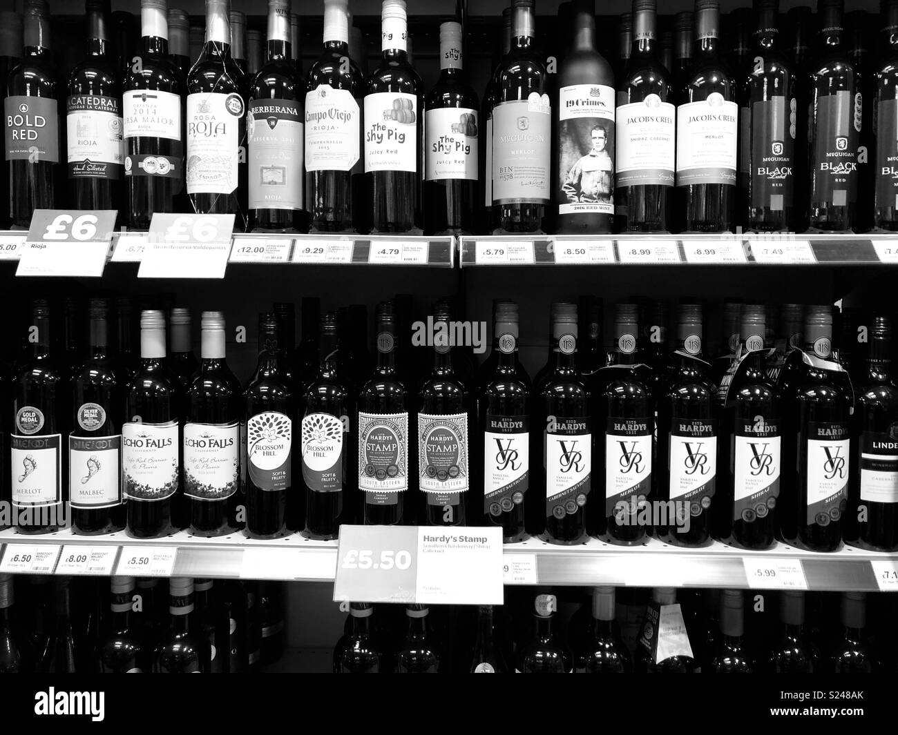 Display of wine bottles on shelf Stock Photo
