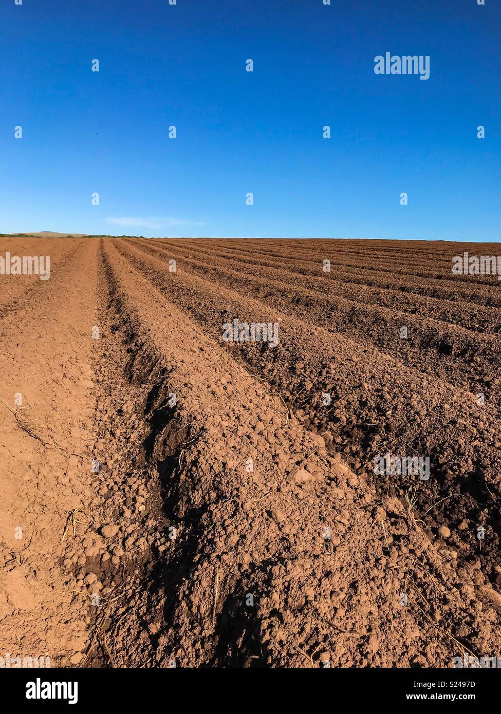 Ploughed field with furrows leading into the distance - Smartphone Captured Stock Image