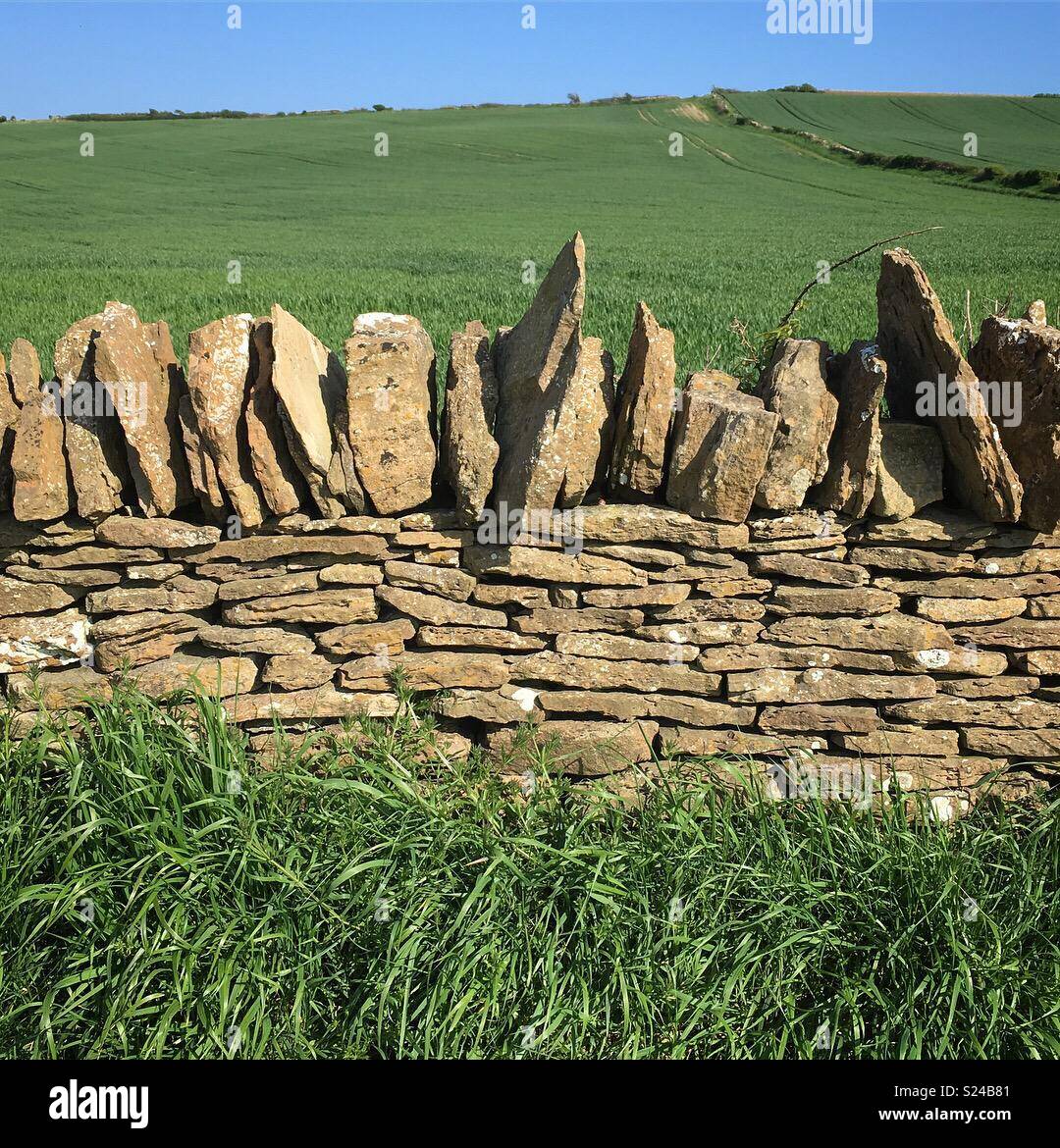 Dry stone wall on Dorset Coast Path Stock Photo