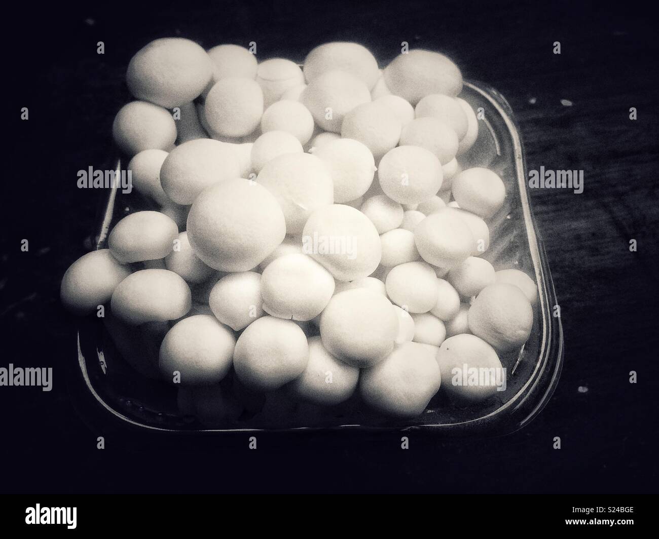 Beech Mushrooms , White Shimeji mushroom on black - Smartphone Captured Stock Image