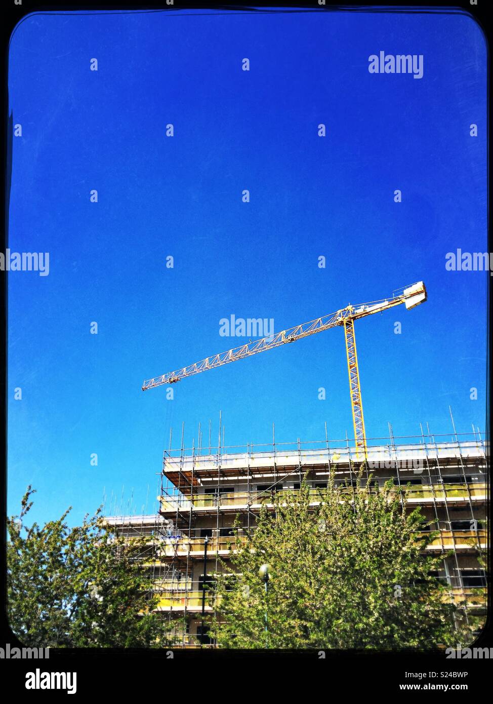 Yellow crane and building construction  with scaffolding against blue sky and trees. - Smartphone Captured Stock Image