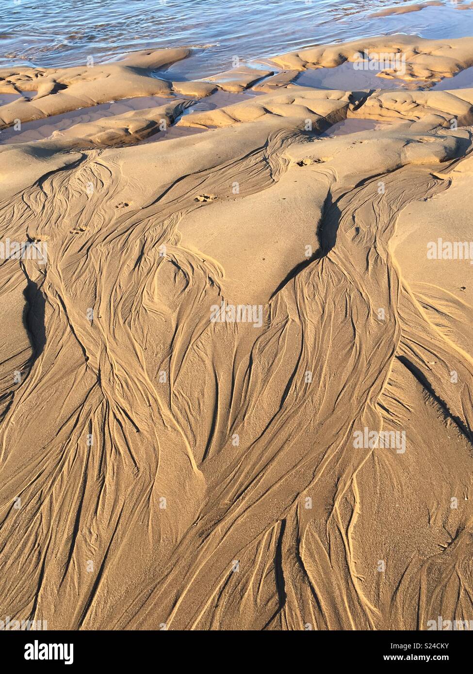 Watermarks in the sand . Newburgh beach Scotland. Stock Photo