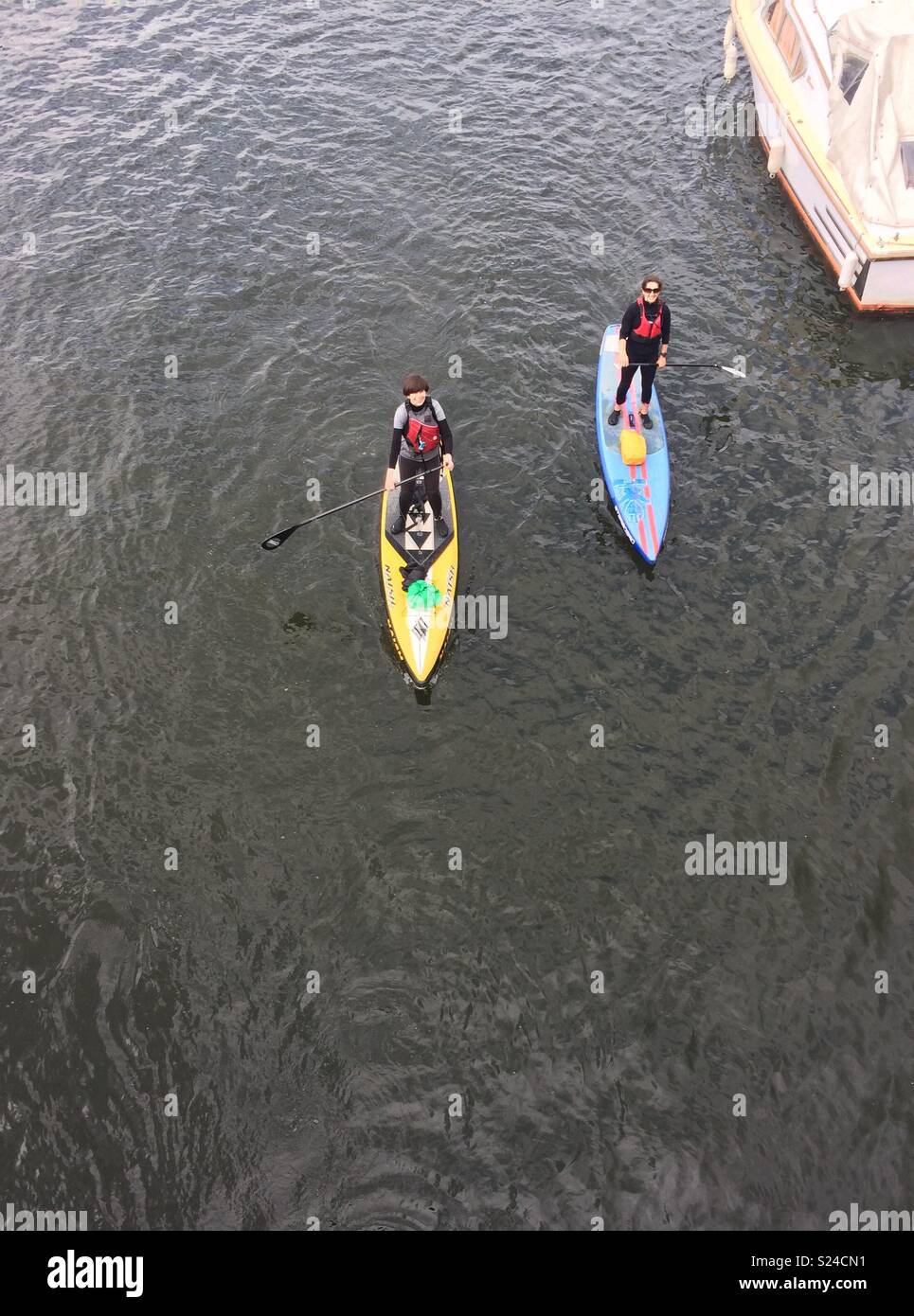 Paddle boarders on river Thames Stock Photo