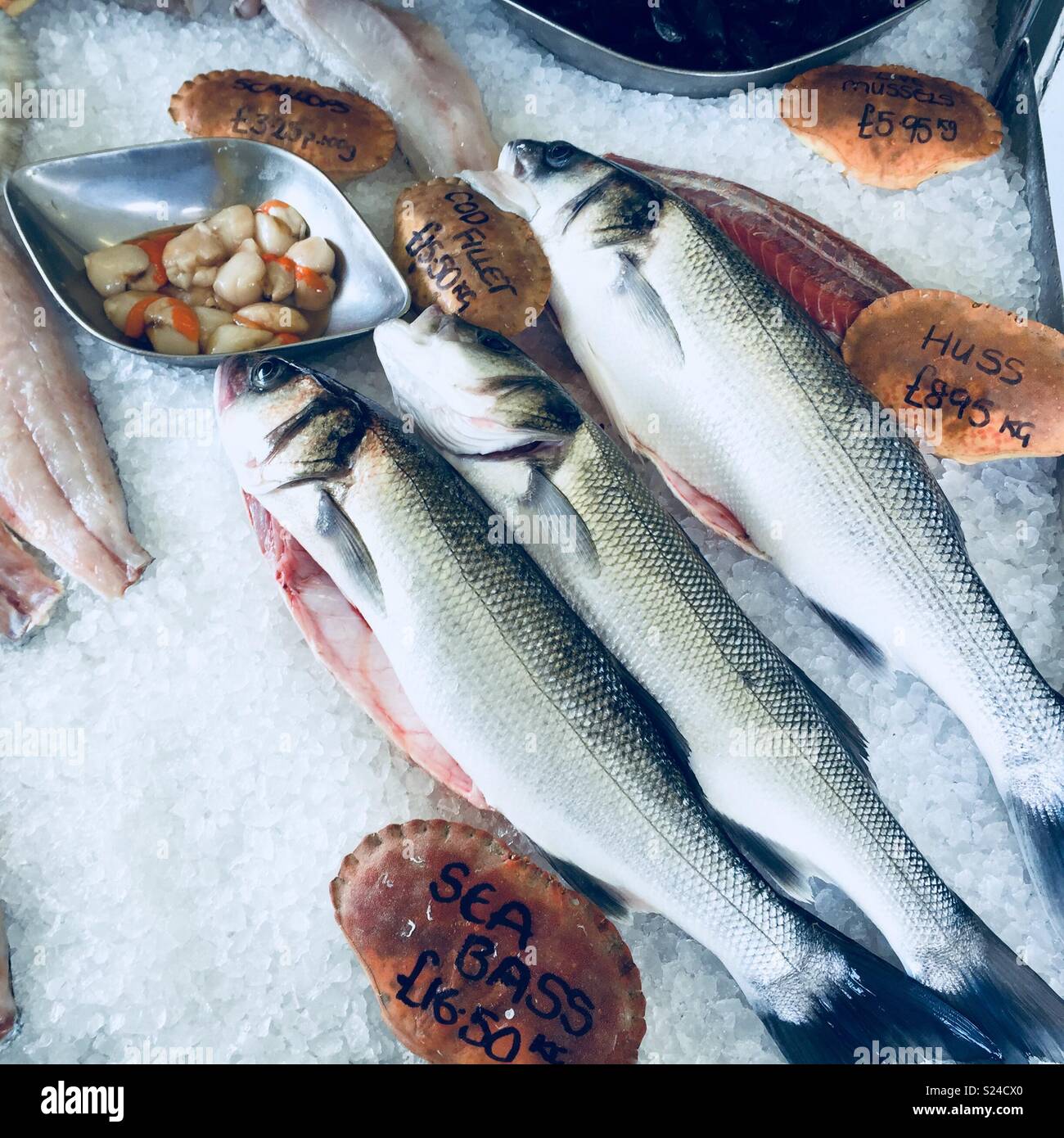 Fishmongers morning catch fish on ice Stock Photo