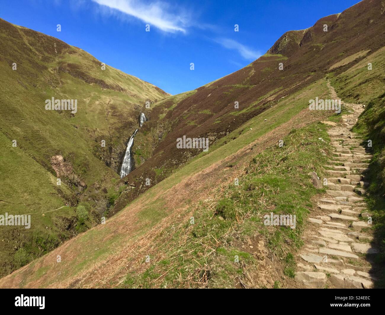 Pathway In The Wilderness Stock Photo Alamy