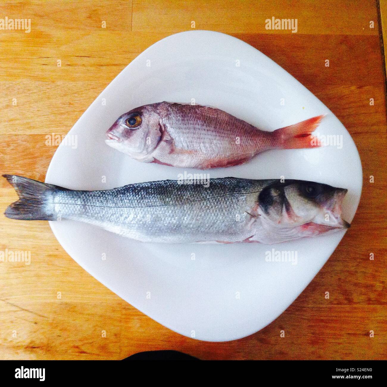 Fresh fish - Smartphone Captured Stock Image