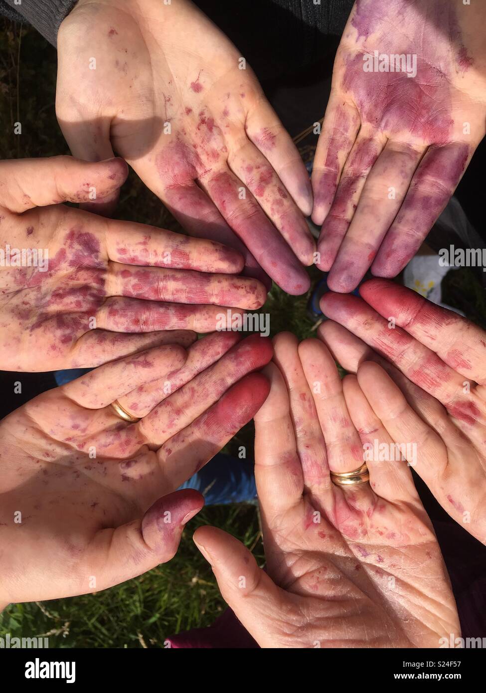 Red hands hires stock photography and images Alamy