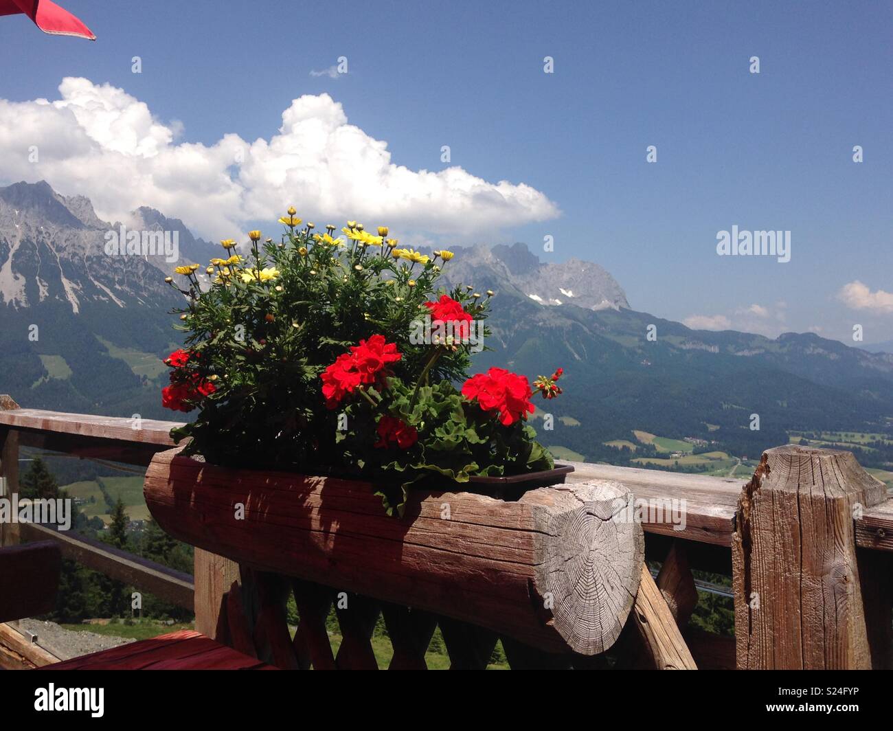 Austria, Ruebezahl Alm with view to the Wilde Kaiser Mountain Range Stock Photo