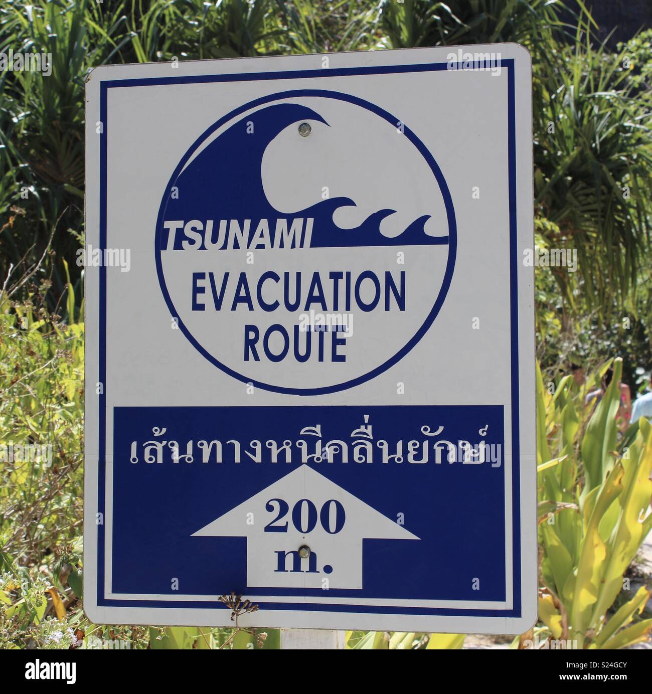 Thai Tsunami Evacuation Sign Stock Photo Alamy
