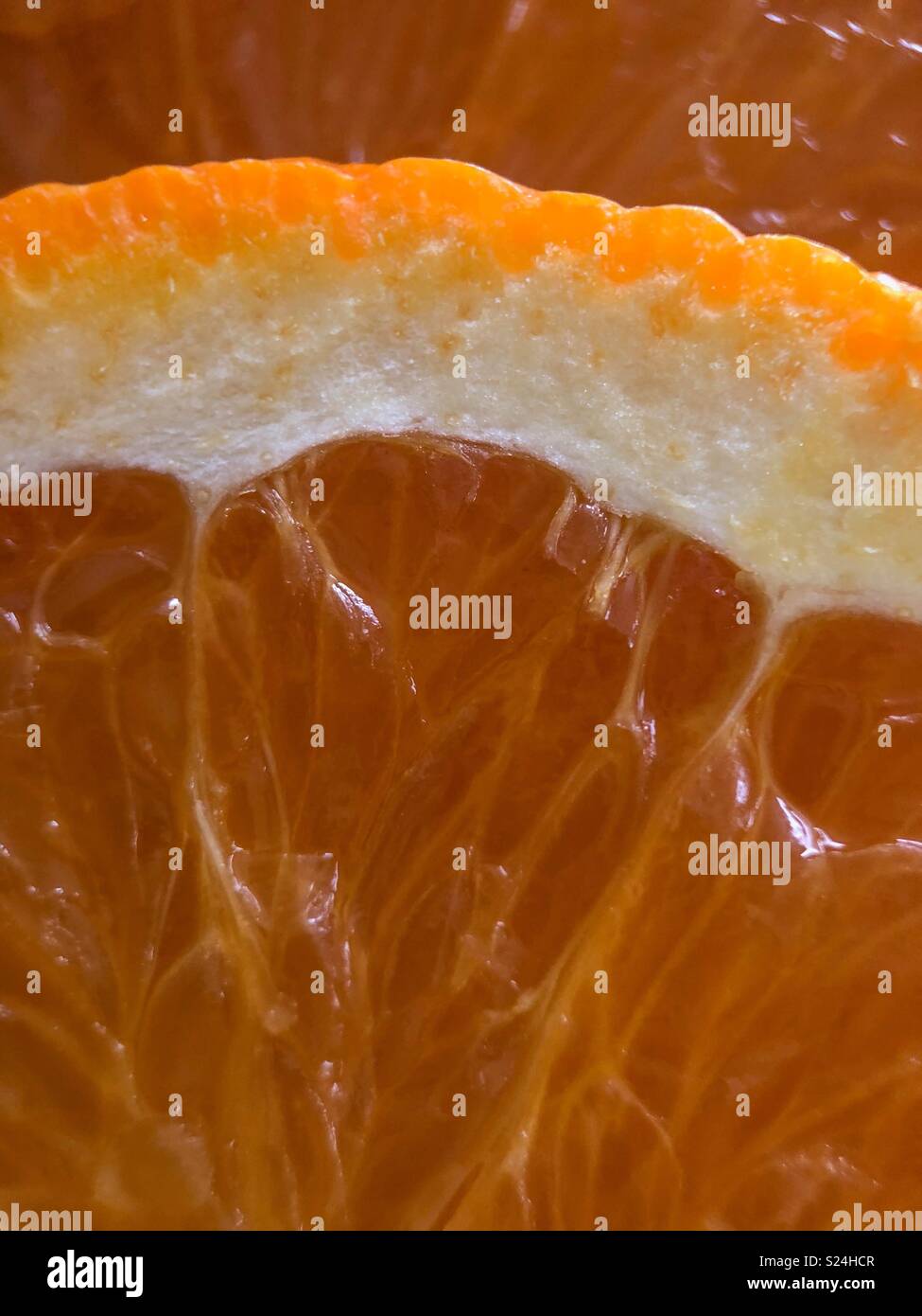 Up close of orange slice - Smartphone Captured Stock Image