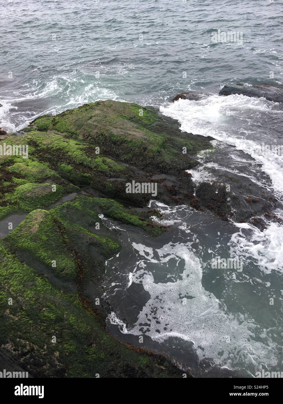 Ocean water splashes along mossy rocks along the Rhode Island coast. Stock Photo