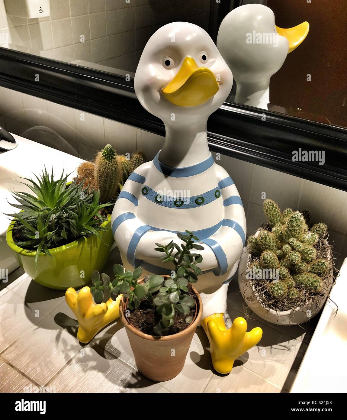 Duck and cactus bathroom decorations Stock Photo Alamy