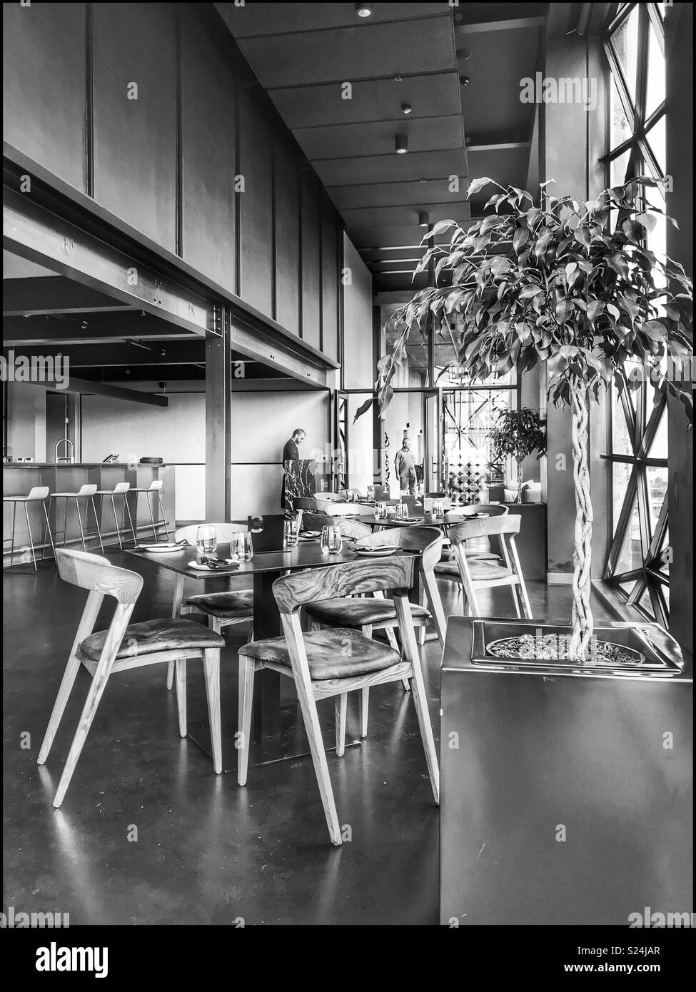 The newly opened Zeitz MOCAA Food restaurant and bar in the Zeitz Museum, Cape Town, South Africa with its iconic bubble windows. - Smartphone Captured Stock Image