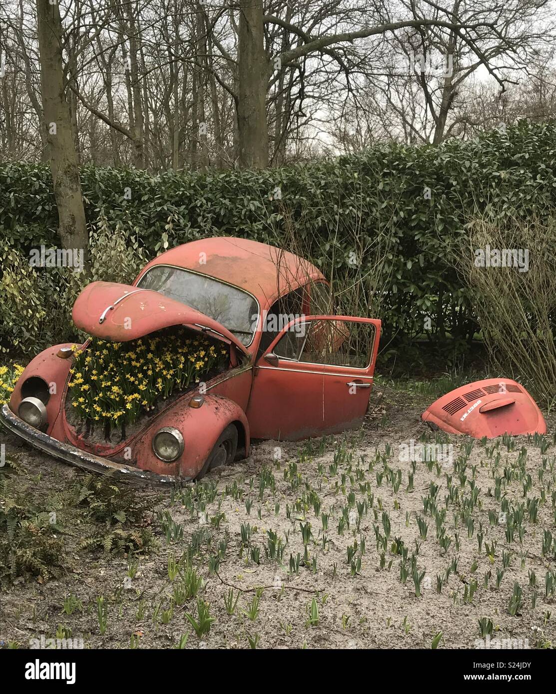 Holland car hires stock photography and images Alamy