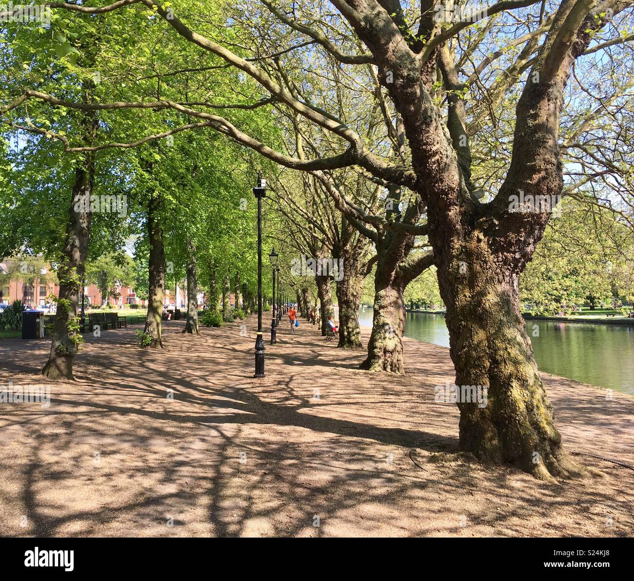 Great River Ouse embankment- Bedford, Bedfordshire,England - Smartphone Captured Stock Image