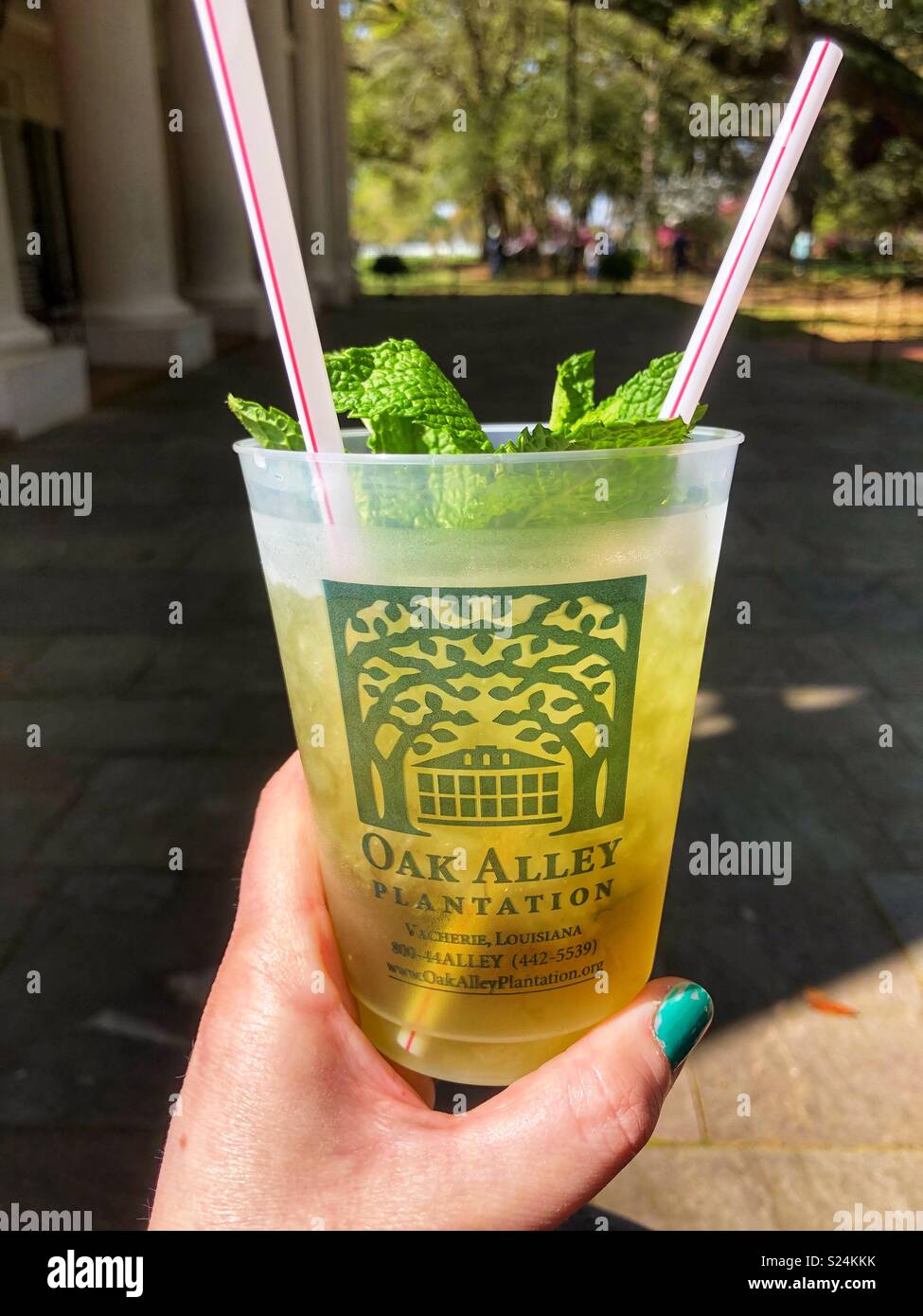 Woman’s hand holding a Mint julep purchased at Oak Alley Plantation