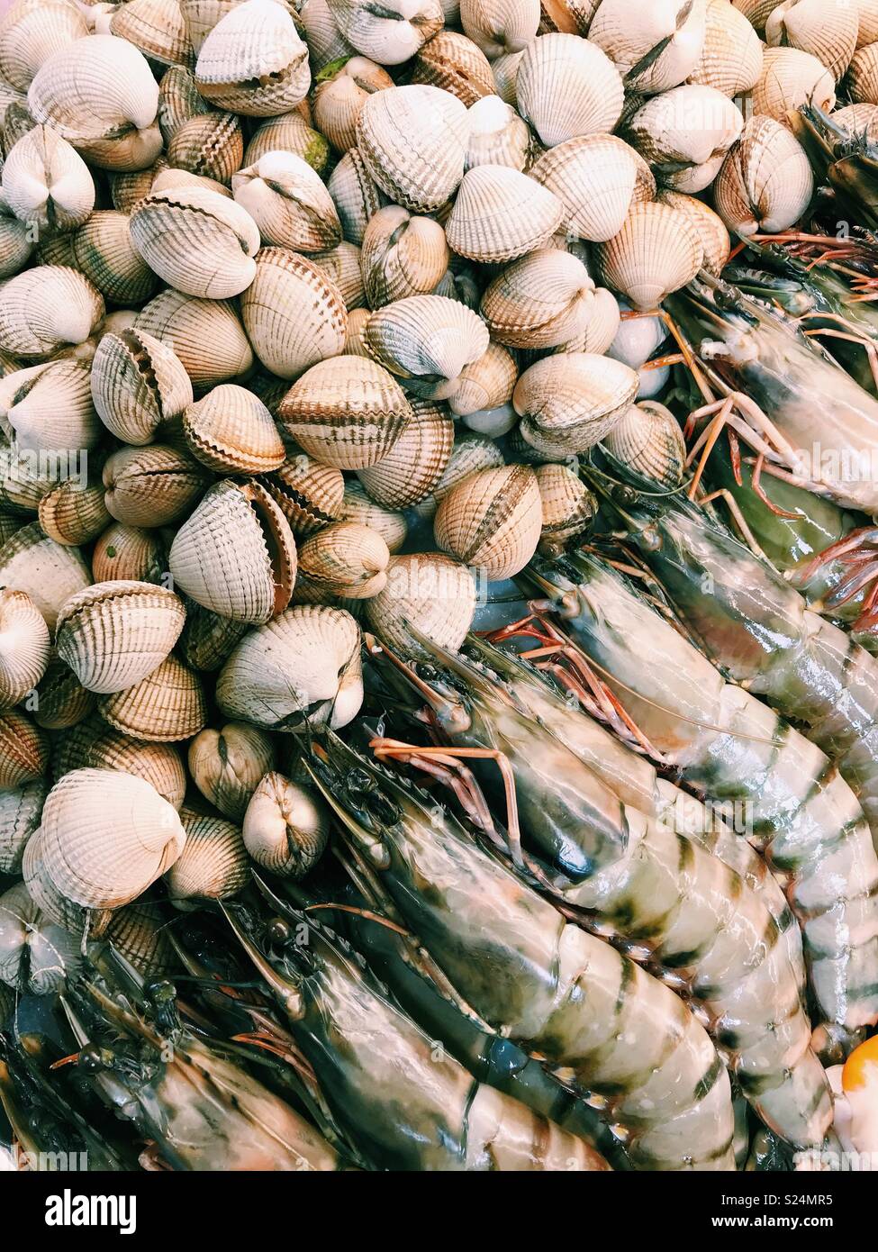 Fresh clams and tiger prawns for sale at a fish market in Scotland
