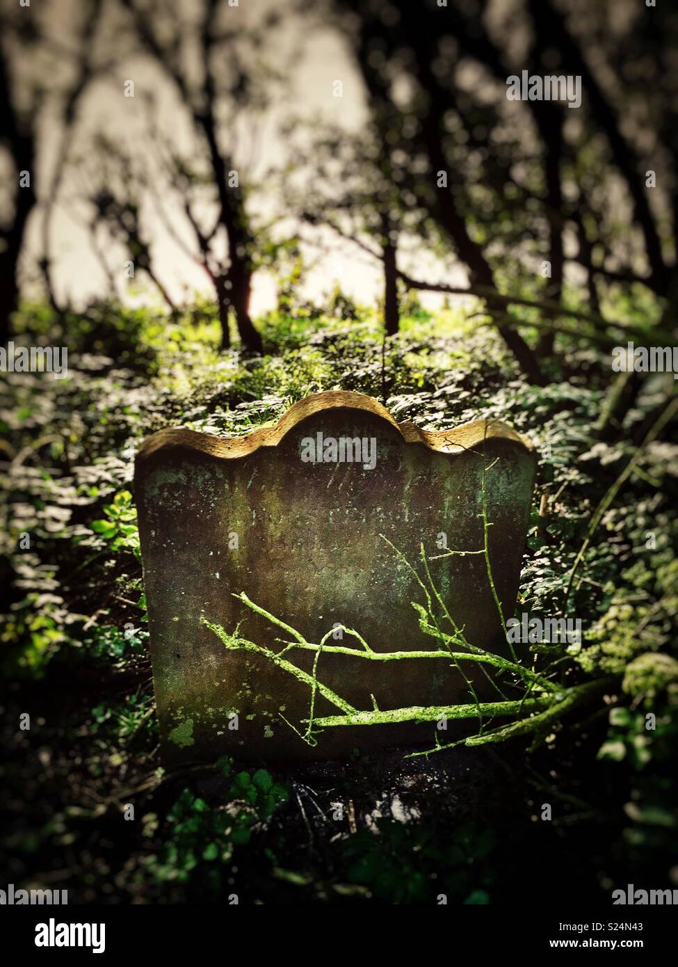‘The last grave’ The last surviving gravestone from the churchyard of The Medieval All Saints Church which fell over the eroding cliffs between 1904-1920, Dunwich, Suffolk, UK. - Smartphone Captured Stock Image