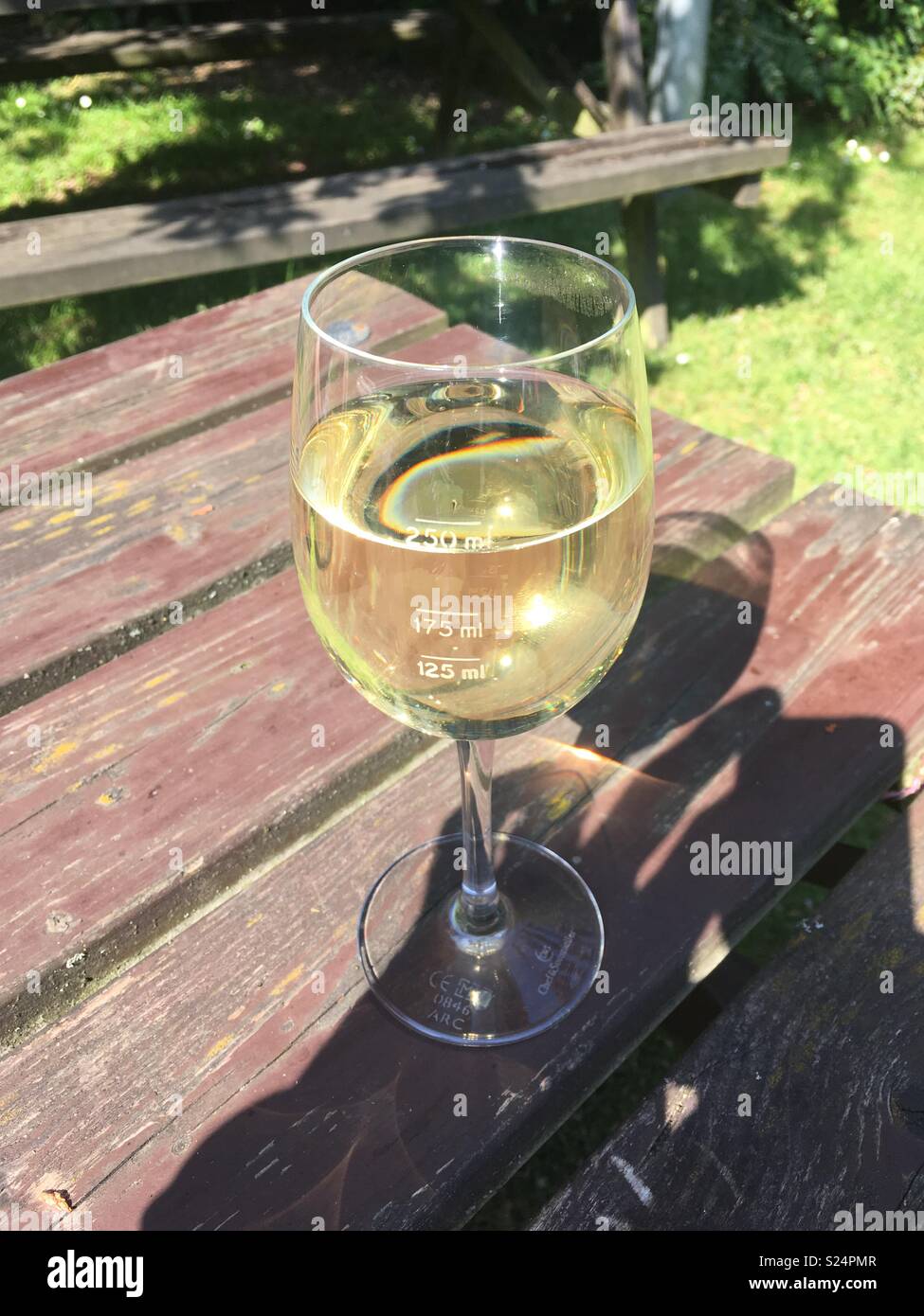 Large glass of white wine Stock Photo Alamy