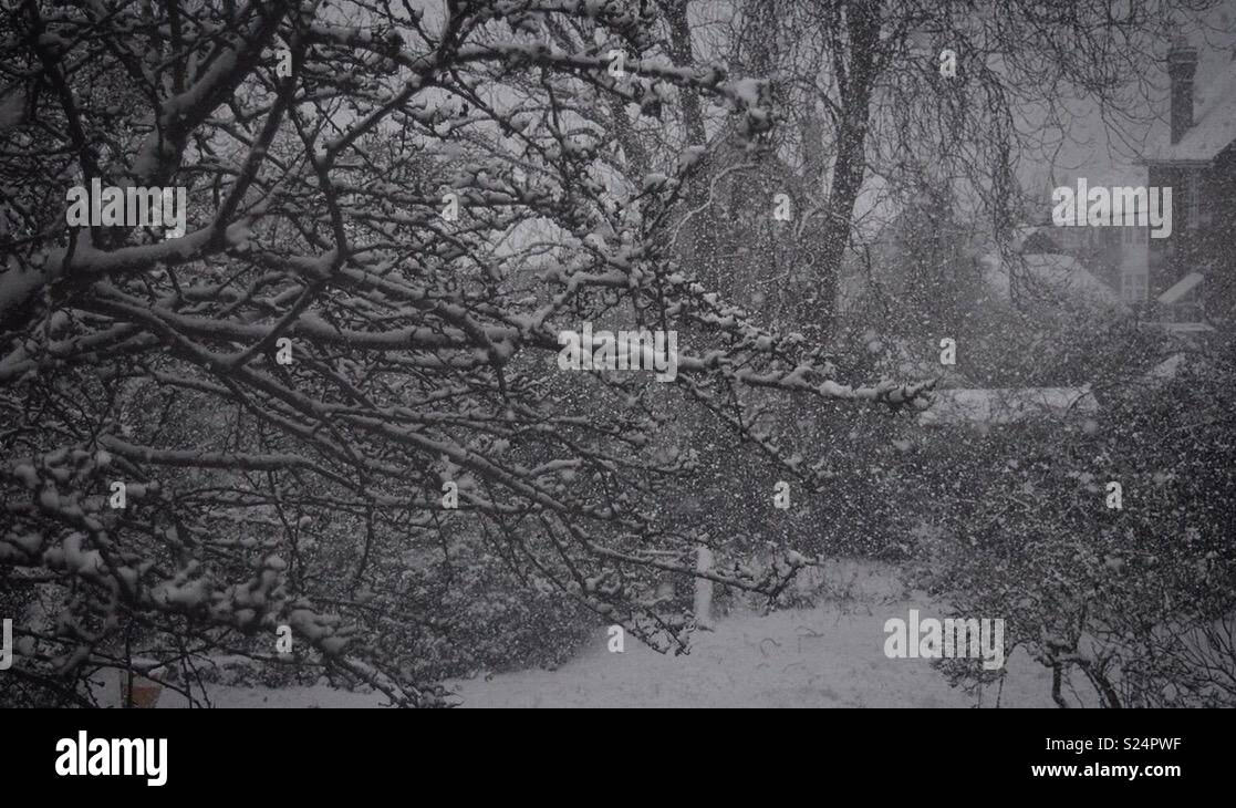 The great British snowstorm of 2018 Stock Photo Alamy
