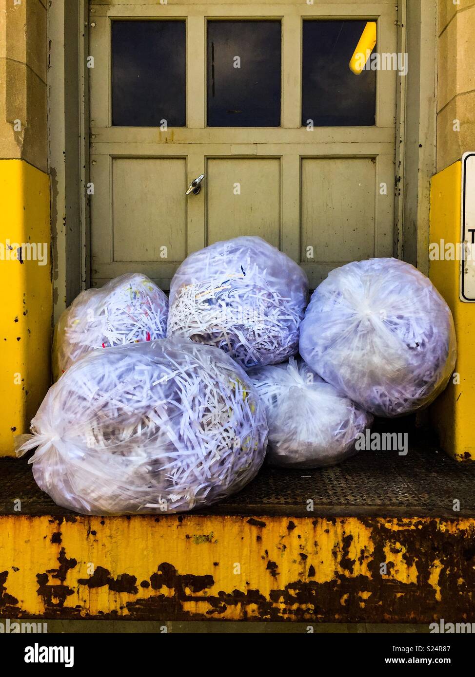 Shredded paper in clear plastic bags ready for pick up for recycling