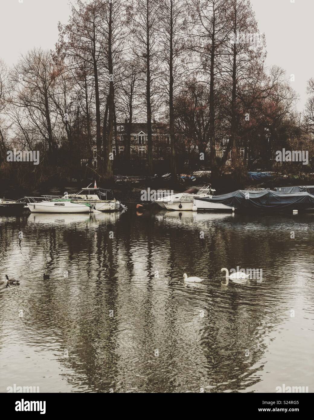 Reflections of boats and trees in the Thames Stock Photo