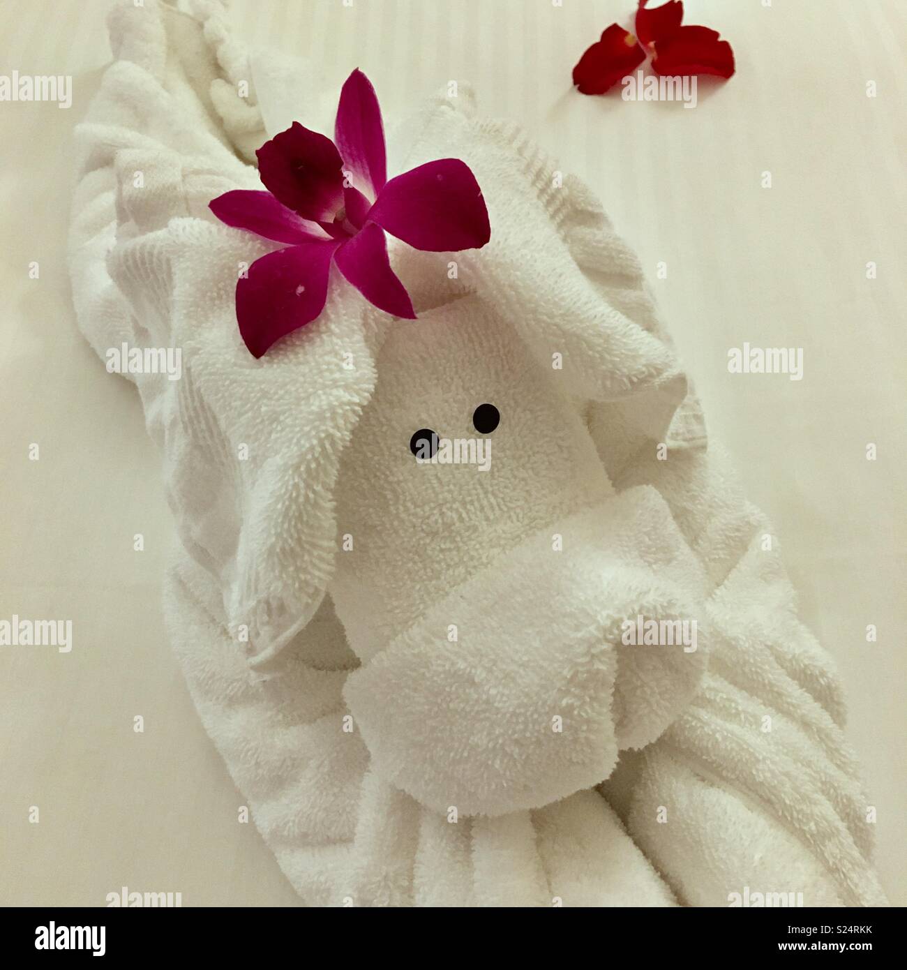Hotel towel made into a dog with flowers - Smartphone Captured Stock Image