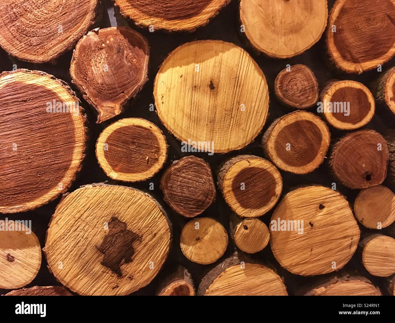 sawn logs Stock Photo